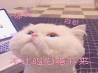 南通鸣翰日用品进出口有限公司