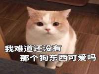 南通鸣翰日用品进出口有限公司