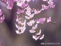 南通鸣翰日用品进出口有限公司