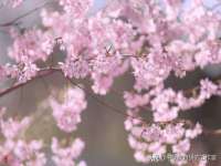南通鸣翰日用品进出口有限公司