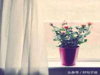 南通鸣翰日用品进出口有限公司