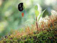 南通鸣翰日用品进出口有限公司