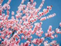 南通鸣翰日用品进出口有限公司
