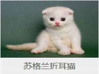 南通鸣翰日用品进出口有限公司