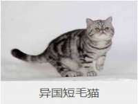 南通鸣翰日用品进出口有限公司