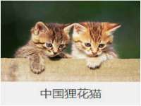南通鸣翰日用品进出口有限公司