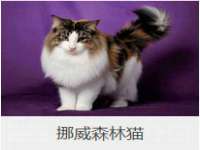 南通鸣翰日用品进出口有限公司