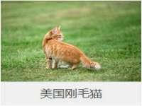 南通鸣翰日用品进出口有限公司