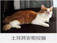 南通鸣翰日用品进出口有限公司