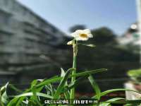 南通鸣翰日用品进出口有限公司