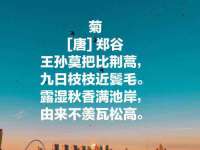 南通鸣翰日用品进出口有限公司