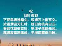 南通鸣翰日用品进出口有限公司