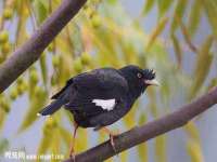南通鸣翰日用品进出口有限公司