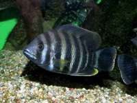 南通鸣翰日用品进出口有限公司