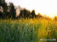 南通鸣翰日用品进出口有限公司