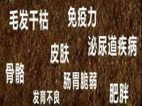 南通鸣翰日用品进出口有限公司