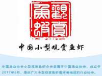 南通鸣翰日用品进出口有限公司