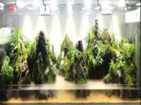 南通鸣翰日用品进出口有限公司