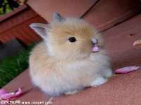 南通鸣翰日用品进出口有限公司