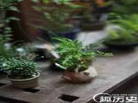 南通鸣翰日用品进出口有限公司