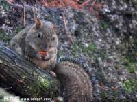 南通鸣翰日用品进出口有限公司